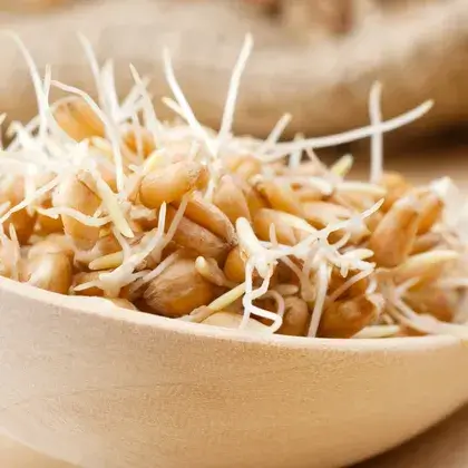 #6. Экстракт пшеничных зародышей